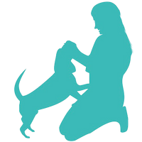 Private In-Home Training