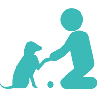 Small Group Training