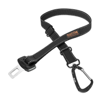 Seatbelt Leash