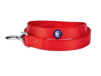 Training Leash