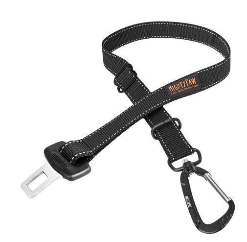 Seatbelt Leash
